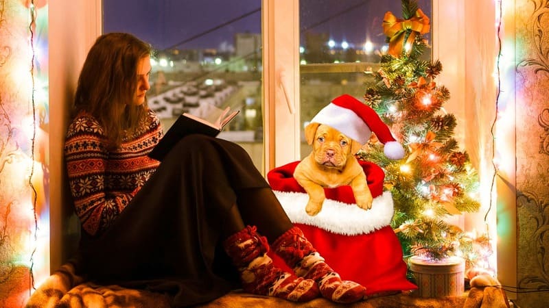 Regalo Natale Amore.Riflessioni Sull Amore Sul Natale E Sui Regali Valeriarandone It